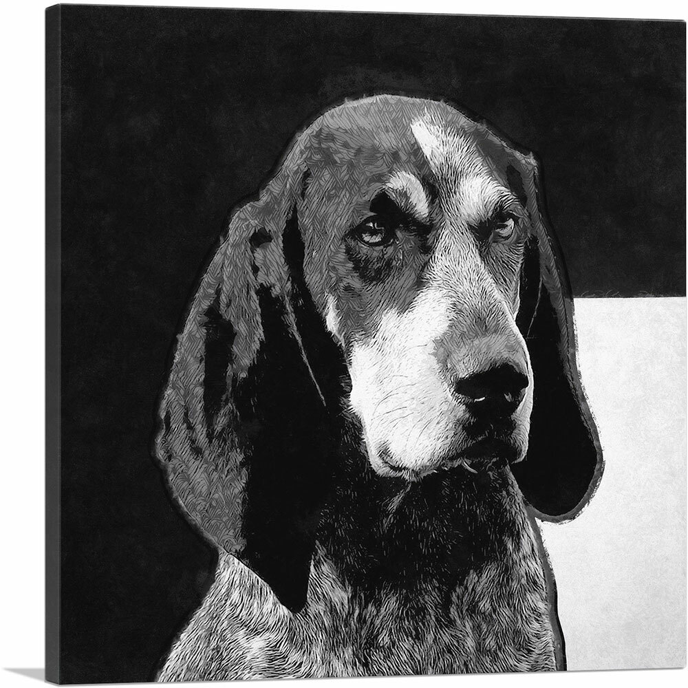 ARTCANVAS Bluetick Coonhound Dog Breed Black White Canvas Art Print