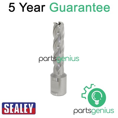 Sealey Worksafe �� 13 mm HSS Mag Bohrer Schnitttiefe 50 mm RBHSS13L