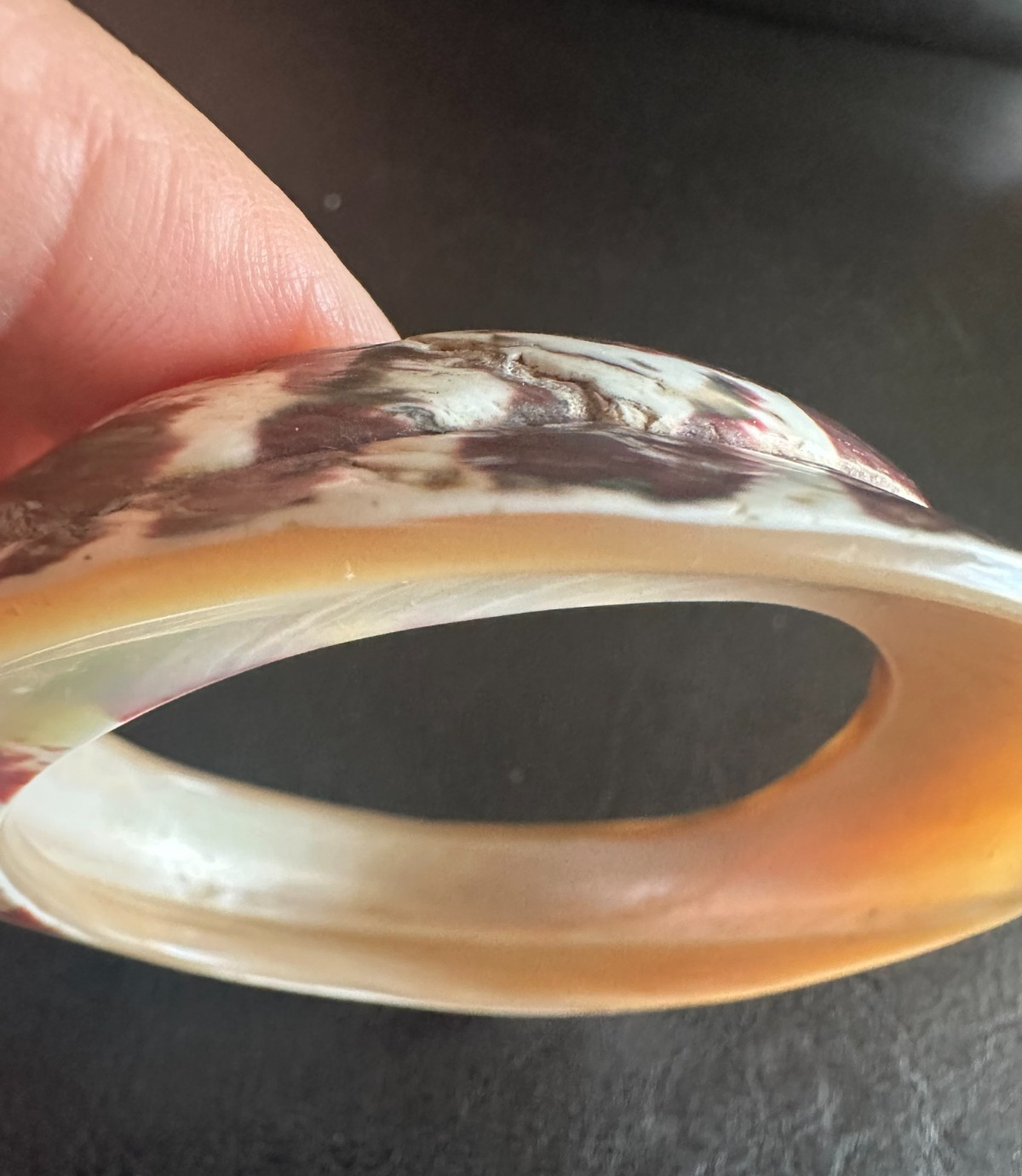 Leopard Cone (Conus leopardus) Hawaiian Solid She… - image 4