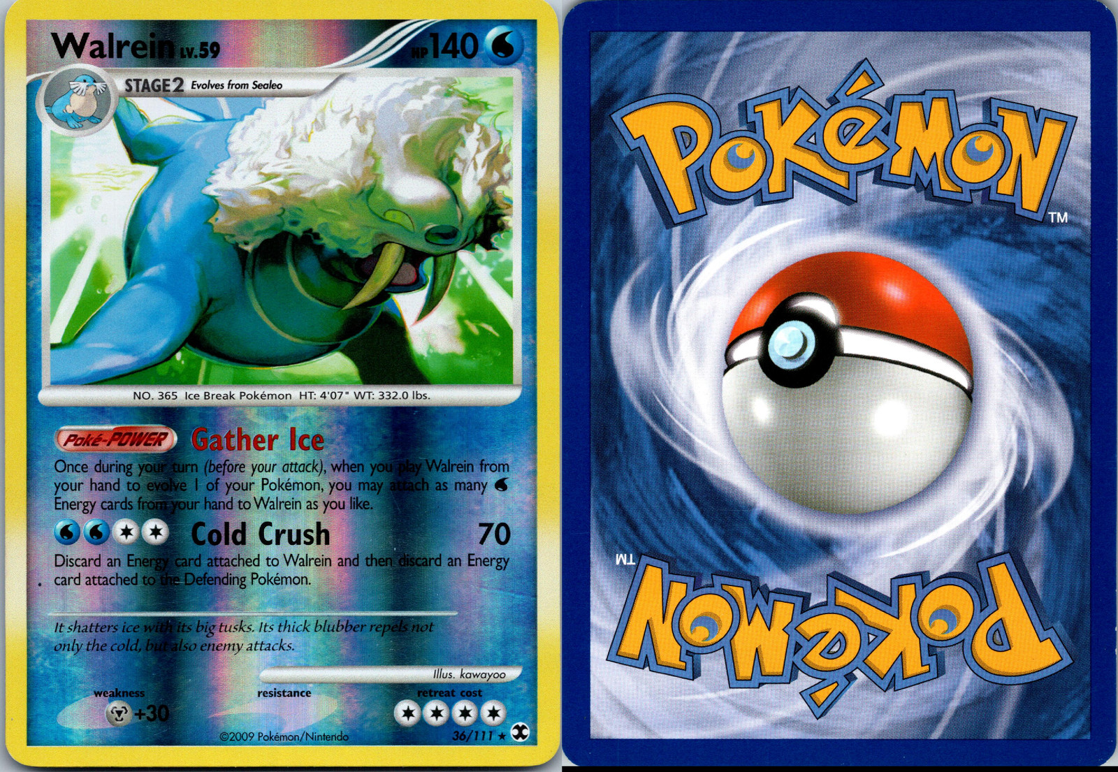 Walrein Reverse Holo Rising Rivals 2009 # 36/111 Pokémon TCG