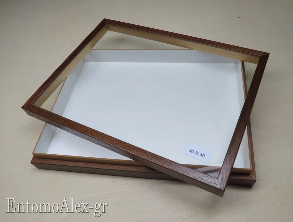 scatola entomologica legno MARRONE 30X40 plastazote entomologia cassetta insetti - Immagine 2 di 4