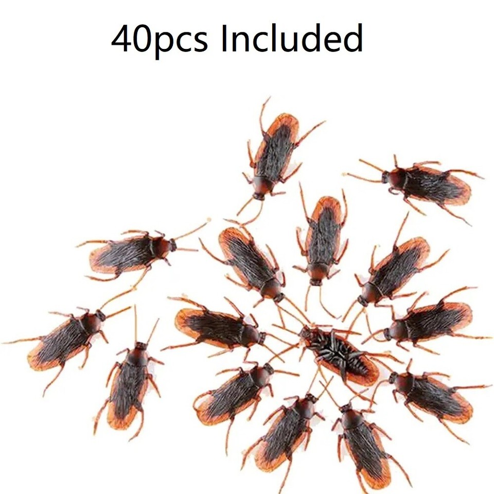 40 Prank Cockroaches Realistic Cock Roach Rubber Fake Creepy Bugs Gag ...