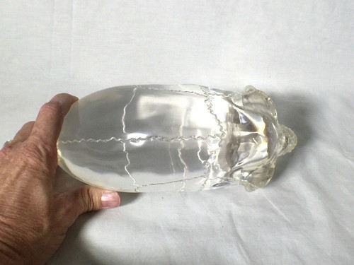 Indiana Jones, calavera de cristal alienígena, réplica de utilería real, estuche de acrílico, firmado - Imagen 6 de 9