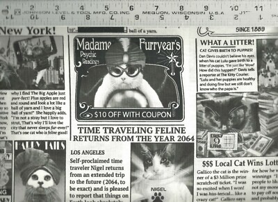 Timeless Treasures ~ Kitty Courier Cat Newspaper ~ 100% Cotton Quilt Fabric BTY