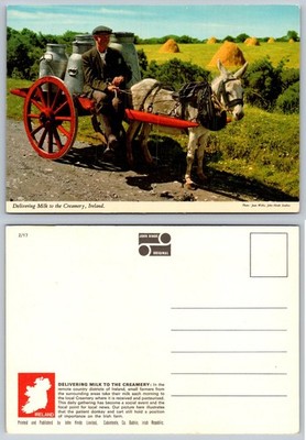 John Hinde Ireland Postcard - Donkey Cart Milk Delivery Rural Scene