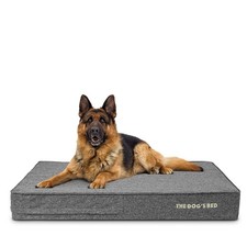 The Dog's Bed Orthopedic Memory Foam Dog Bed Waterproof XL 6" Thick Grey Linen