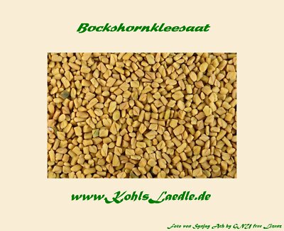 Bockshornkleesaat, ganz - 100g.