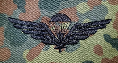 Fallschirmspringer Abzeichen Jumpwings BW US NL F B CA A I DK CZ SLO FIN NOR MX - Picture 8 of 35