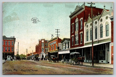 #ad Magnolia Street Ocala Florida FL Cigar Store 1907 Postcard $17.95