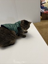 Kitty Puffer Jacket