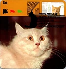 Dr Jim Stamps Maximum Card Animal Rescue Adopt A Shelter Pet 44C Fdc
