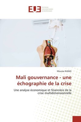 Moussa Niang | Mali gouvernance - une échographie de la crise | Taschenbuch