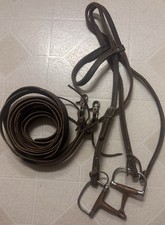 Older Western Headstall With Bit And Reins