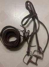 Older Western Headstall With Bit And Reins 
