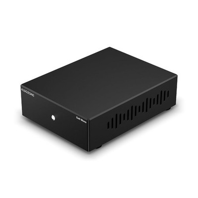 GaN Mono Power Amplifier, 300W Monoblock Class D Amp, XLR/TRS & RCA Inputs, 12V