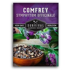 Comfrey Seeds for Planting - Symphytum Officinale Medicinal Perennial Herb for C