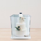 Brand New CakeSafe Cake Transporter – Mini (14 x 14 x 16) — photo 5