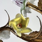 Bild 11 von 12
