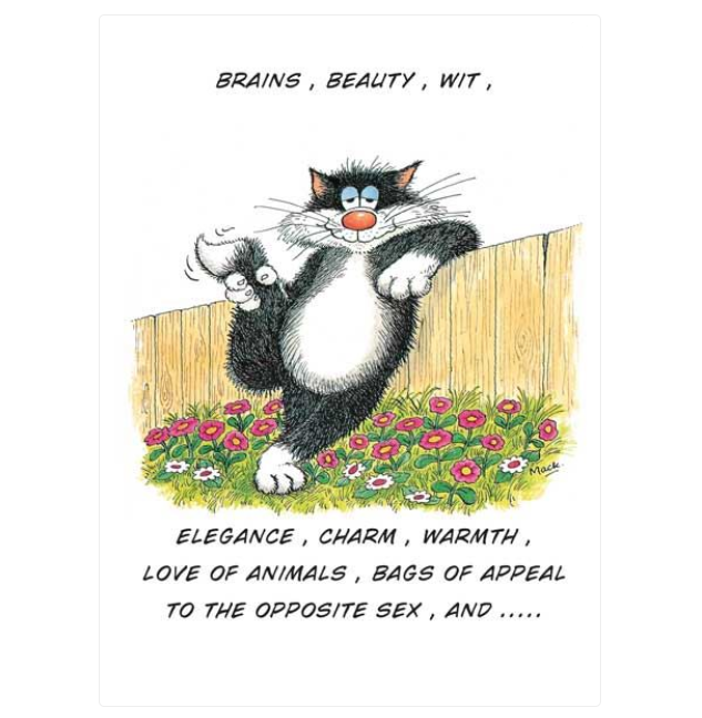Birthday Card Funny Cat Lover, Cat Owner, Silly Funny Birthday Card.