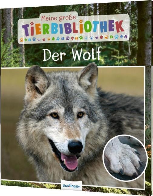 Der Wolf - Bild 2