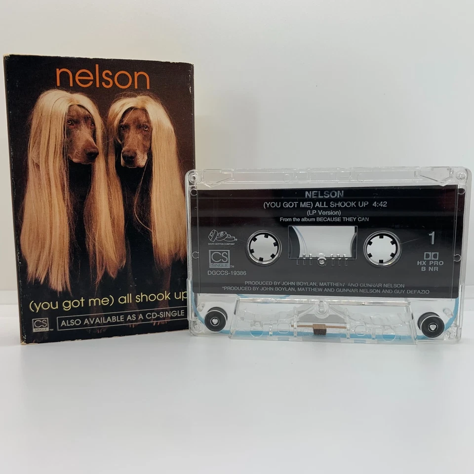 lot of cassette single tapes nelson / roxette / celine dion Foto 4 de 4