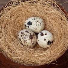 Brown Wire Pad Coconut Silk Bird Nest Mat Nesting Material Fiber Pads 9.68 per metre