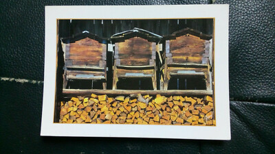 CPM. HOLZBIENENSTÖCKE - Yvon Karte - Foto Putelat - auf einem Holzhaufen