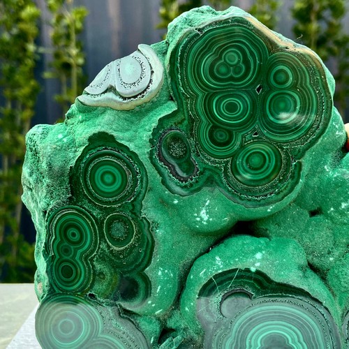 3,1 libbre malachite lucida naturale occhio di gatto trasparente grappolo minerale grezzo campione - Foto 2 di 15