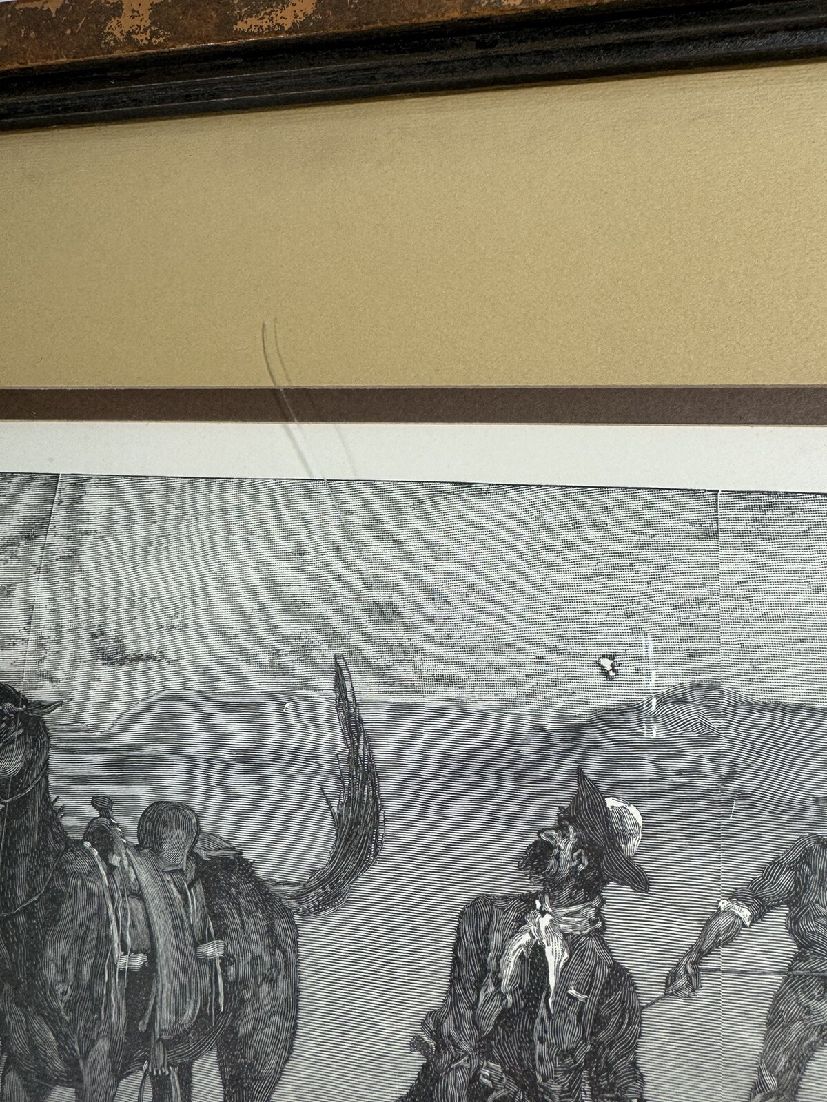 Picture 13 of 17