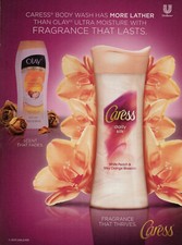 Revista CARESS AD #12 RARA 2013 FRAGANCIA QUE DURA ~ ROSA