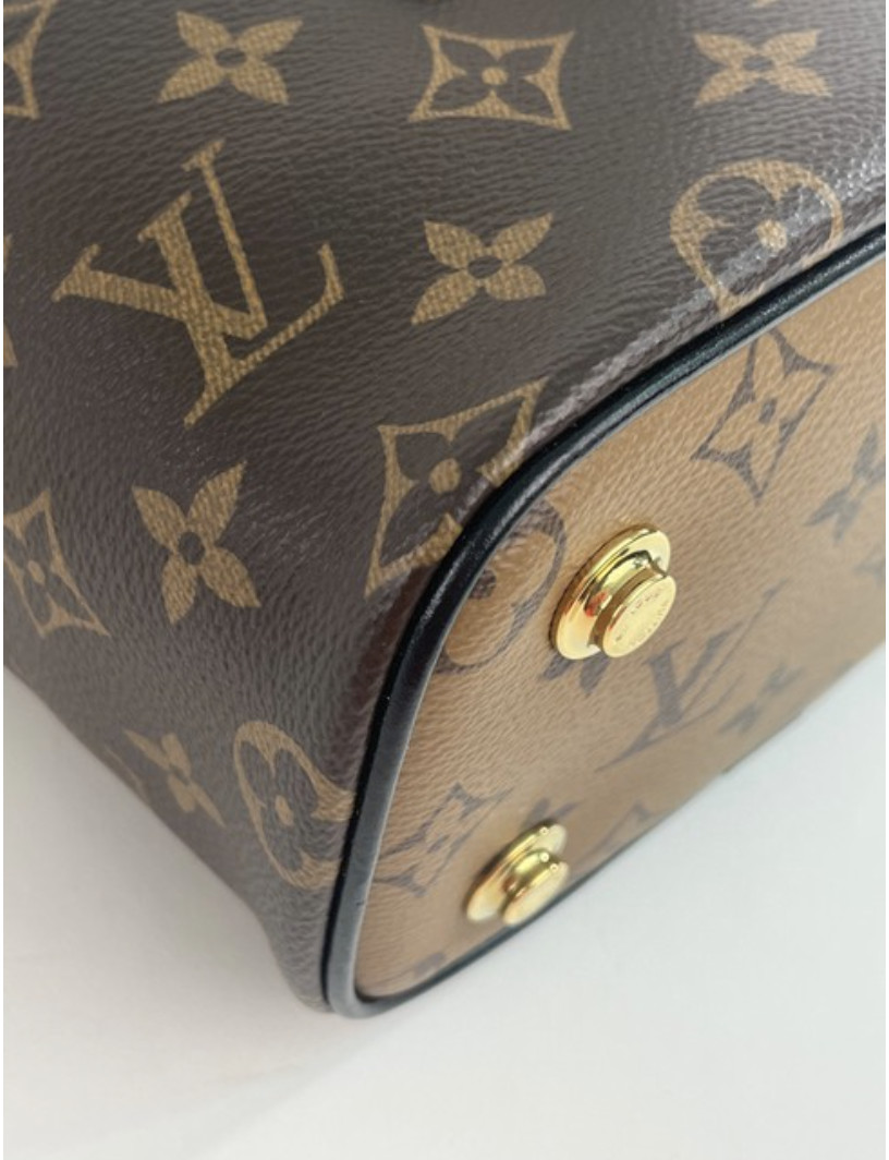 Authentic Louis Vuitton Reverse Monogram Canvas Vanity PM Shoulder 