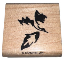 Stamping Up Garden Botanical Leaves on a Stem Branch Wooden Rubber Stamp