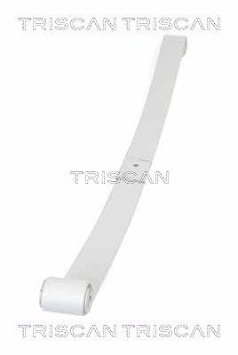 Triscan Federnpaket Hinterachse U.A. FüR Nissan, Opel, Renault-image