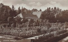 AK Chemnitz (09111), Rosarium, Fotokarte
