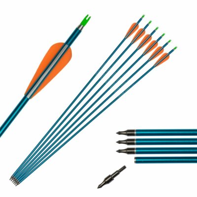 60 '' Tir à L'arc Arc Recourbé Arc Takedown Bow Chasse Arc Et FlèChe Ensemble Adulte Cible Pratique CompéTition Survie Longbow Main Droite Avec 6pcs FlèChes En Fibre De Verre (30lbs