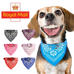 puppy bandanna