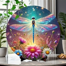 Vintage Dragonfly Universe Garden Round Metal Sign Multicolor