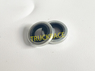 Purchase For Cummins New Banjo Bolt Fuel Sealing Washers 3918188 3924725 In , For US $9.62 - Foto 2