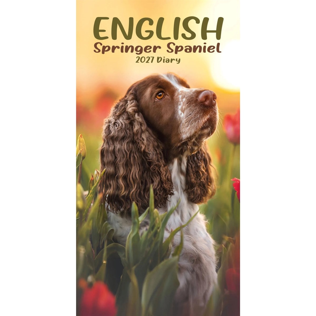 English Springer Spaniels Slim Diary (Diary or journal) - Image 3