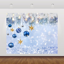 Winter Wonderland Backdrop 10X8Ft Christmas White Snowflake Photography Backgrou