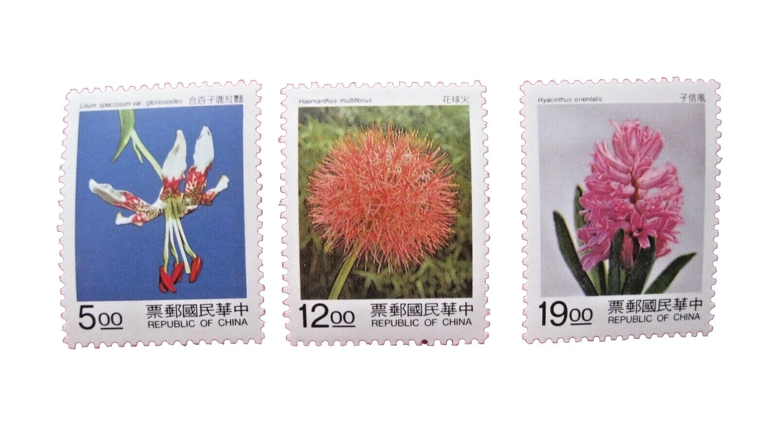 En excelente estado nunca abisagrado/estampillada sin montar o nunca montada Franqueo Taiwan stamps
