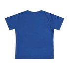 Foto 3 di 5