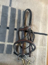Cob Size Bridle, Padded, And Standing Martingale