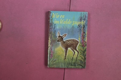 397963 Lili Martini WIE ES IM WALDE ZUGEHT Titania-Verlag HC