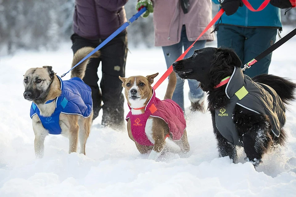 RC Pet Products Acolchado Nimbus Puffer Perro Abrigo Chaqueta Grafito Lima Talla 26” M/L Foto 2 de 3