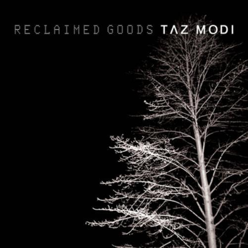 Taz Modi Reclaimed Goods (Vinyl LP) 12" Album