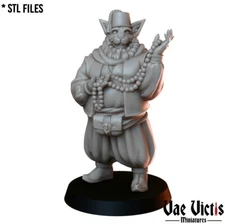 The Tabaxi Merchant Miniature DnD D&D Pathfinder RPG