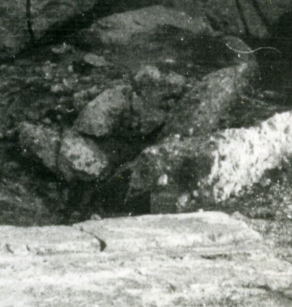 Foto 2 di 3