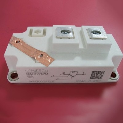 NEW   SKM300GA123D power supply module #pq