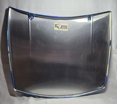 1999 Jeff Gordon #24 Pepsi Replica Hood - NASCAR 29